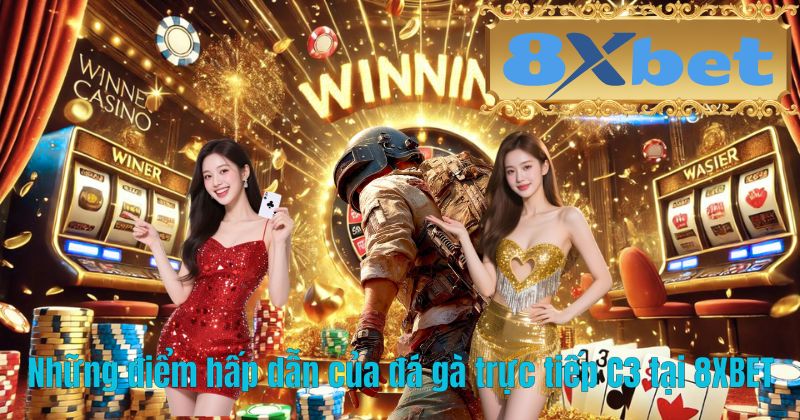Những điểm hấp dẫn của đá gà trực tiếp C3 tại 8XBET